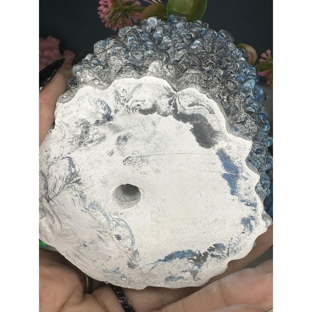 Skull Concrete Plant Pot  Blue Black  Handmade Cement Succulent Planter - Picture 6 of 9